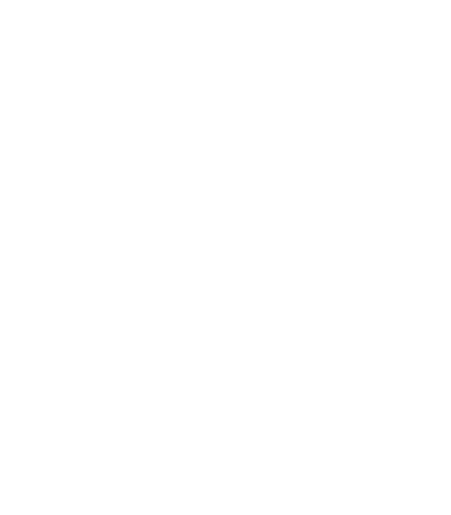 noesis